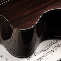 Guitar Panel 9